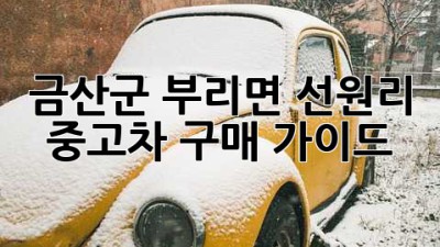 금산군 부리면 선원리 중고차 구매 가이드