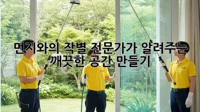 먼지와의 작별, 전문가가 알려주는 깨끗한 공간 만들기